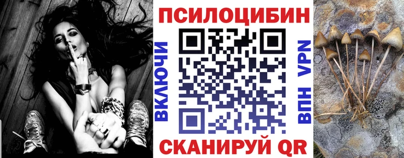Псилоцибиновые грибы Psilocybe Старая Русса